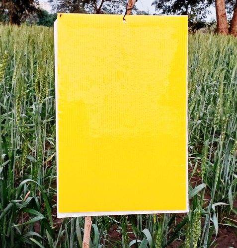 FARM CORROGATED STICKY TRAP - FARMROOT AGRITECH