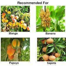 FARM FRUIT LURE - FARMROOT AGRITECH