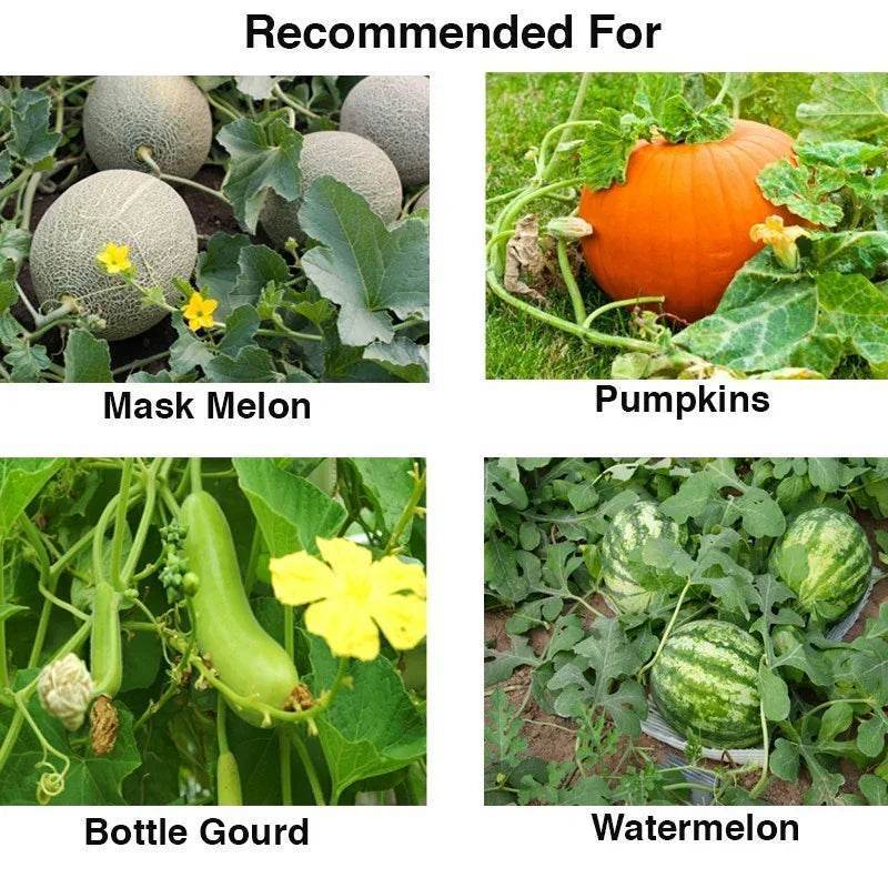 FARM MELON LURE WITH FLY TRAP - FARMROOT AGRITECH