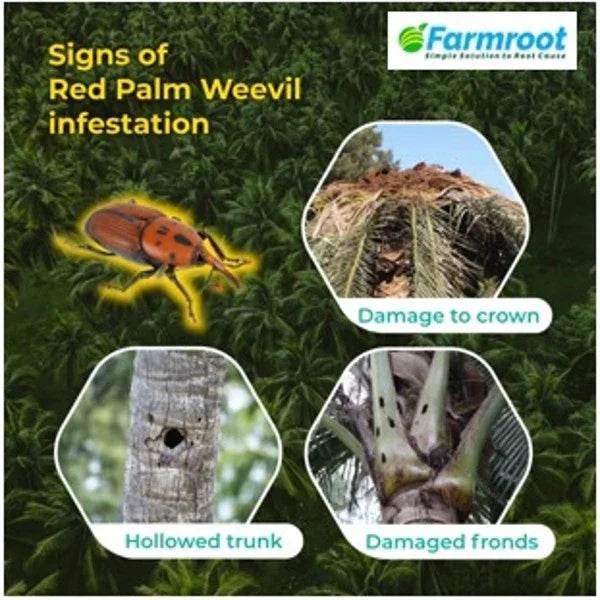 FARM BUCKET TRAP WITH RPW (Red palm weevil) LURE (pack of 6) - FARMROOT AGRITECH