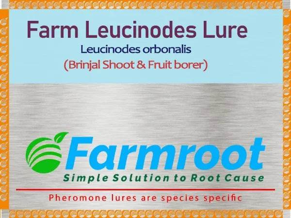 FARM Leucinoides (BRINJAL) Lure With Water trap (pack of 10 ) - FARMROOT AGRITECH