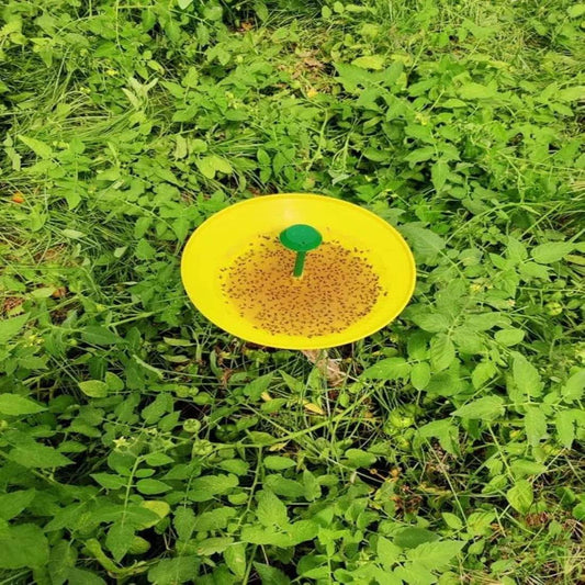 FARMROOT Toom lure with Water trap - FARMROOT AGRITECH