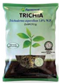 FARM TRICHIA