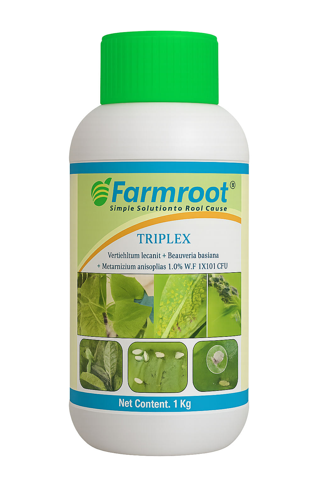Farm Triplex