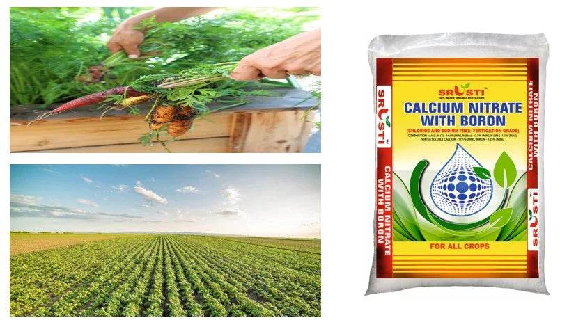 FARM CN WITH BORON - FARMROOT AGRITECH