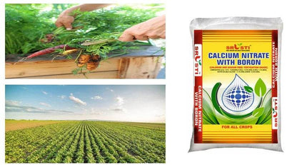 FARM CN WITH BORON - FARMROOT AGRITECH