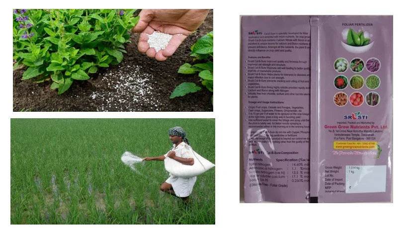 FARM CN WITH BORON - FARMROOT AGRITECH