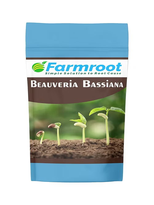 Beauvaria bassiana