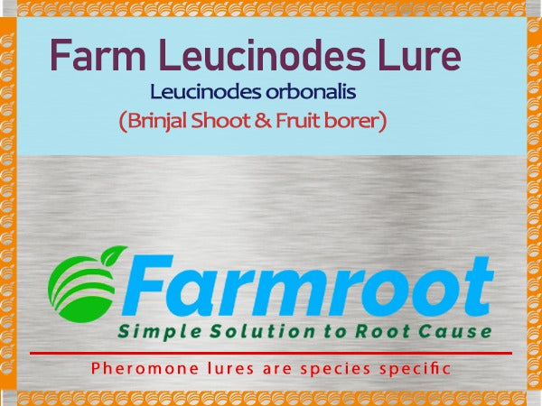 FARM Leucinoides  (BRINJAL) Lure With Water trap (pack of 10 )
