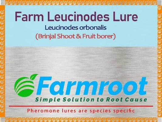 FARM Leucinoides (BRINJAL) Lure With Water trap (pack of 10 ) - FARMROOT AGRITECH