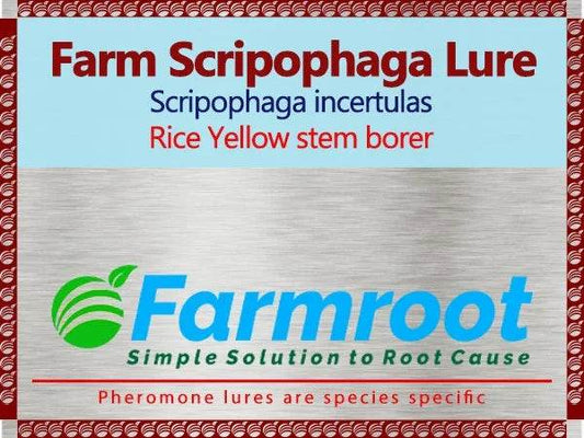 FARM YSB LURE - FARMROOT AGRITECH